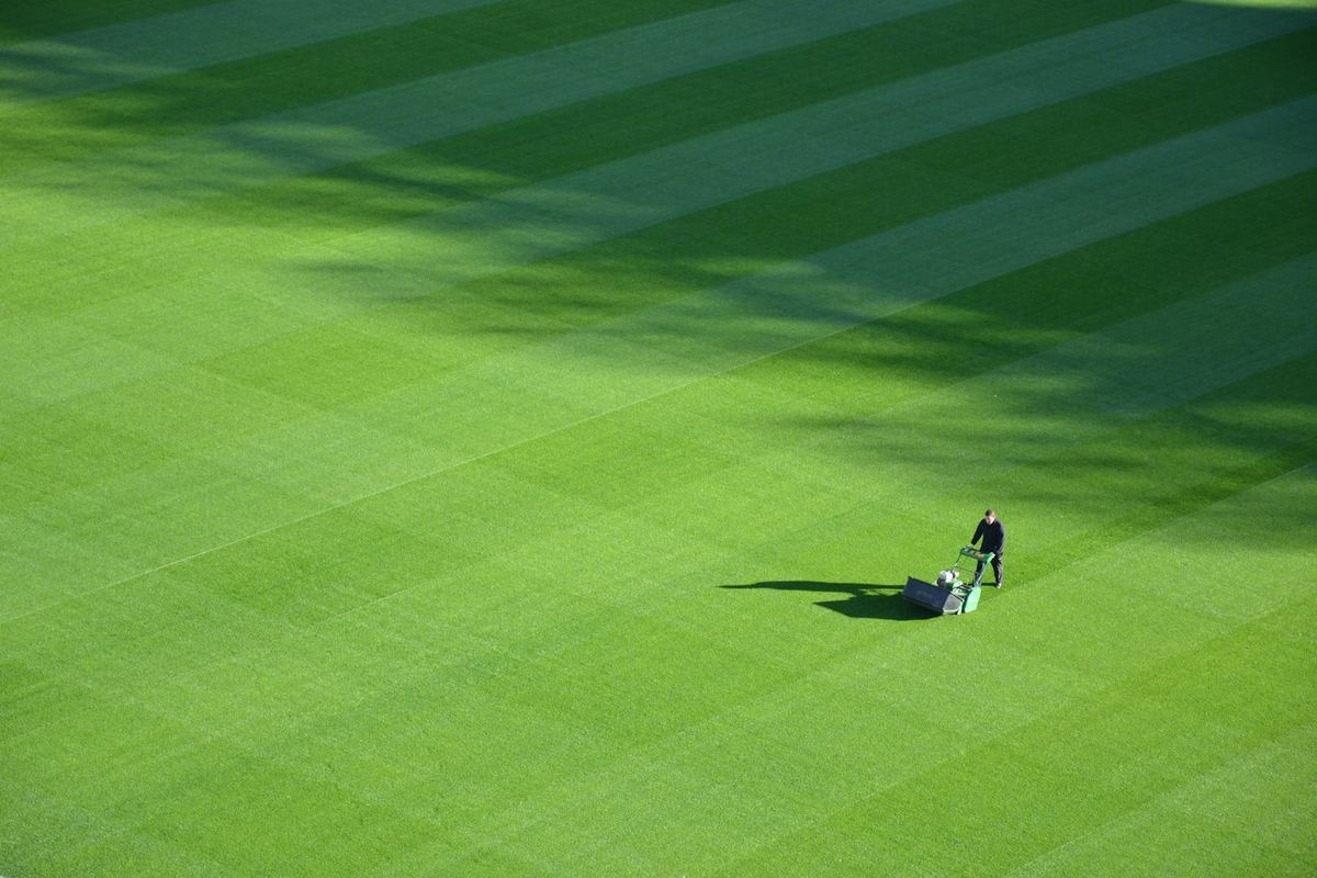 A neat green lawn